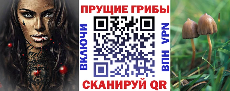 Галлюциногенные грибы GOLDEN TEACHER Советская Гавань